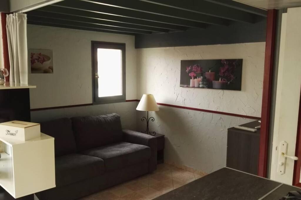 Luxueux studio mezzanine en résidence avec piscine au village Le Barcarès Extérieur photo