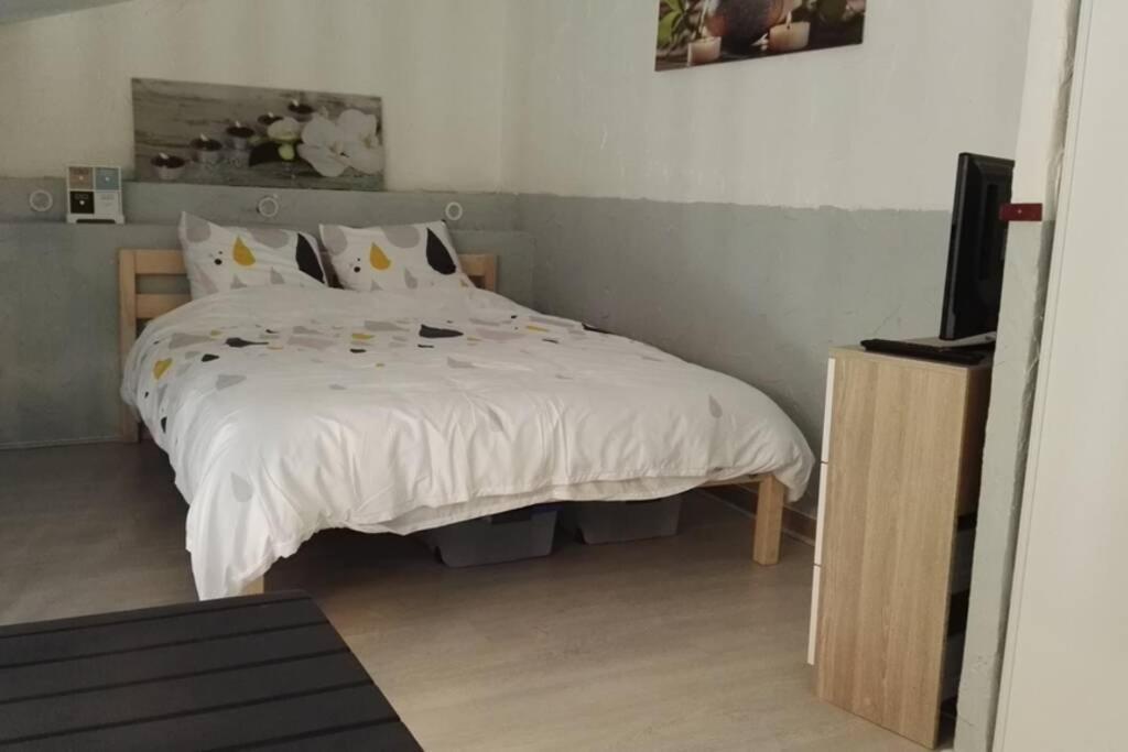 Luxueux studio mezzanine en résidence avec piscine au village Le Barcarès Extérieur photo
