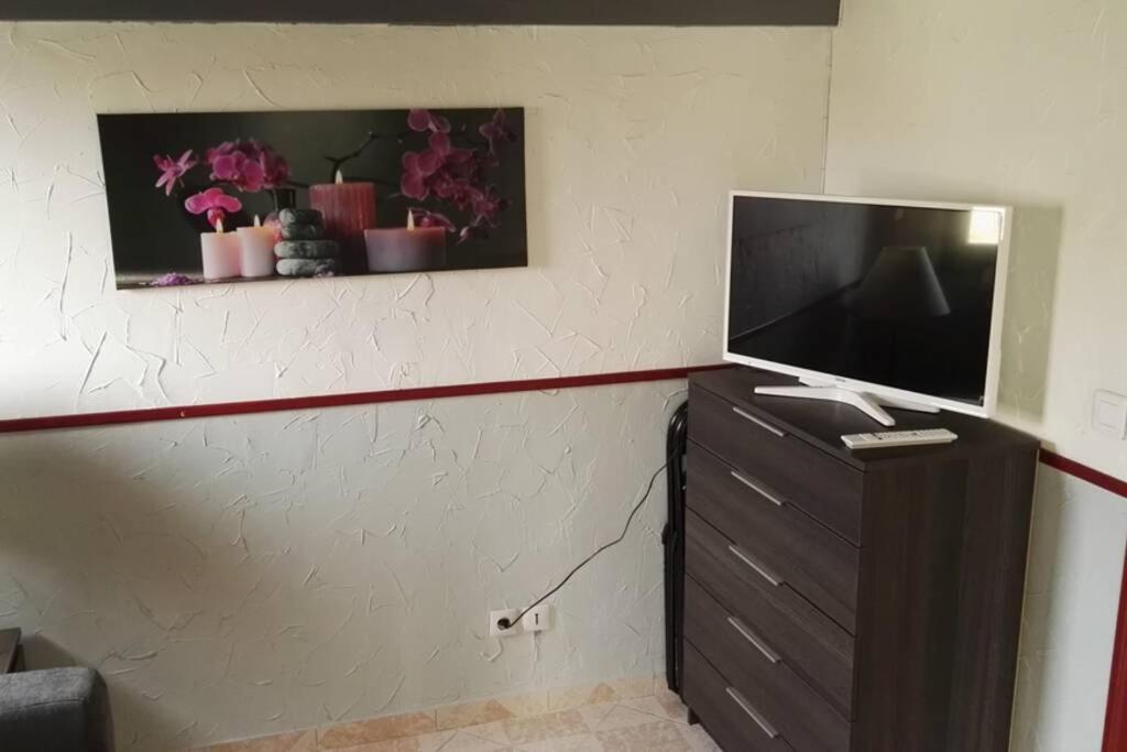 Luxueux studio mezzanine en résidence avec piscine au village Le Barcarès Extérieur photo